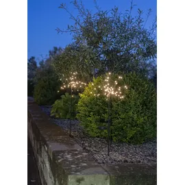 Star Trading | LED-Solar-Dekoration'Firework', 2er Pack, schwarz 45 warmwhite LED