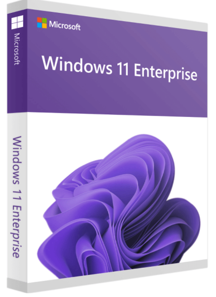 Microsoft Windows 11 Enterprise