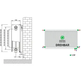 Belrad BLR6-E-22-500-1000