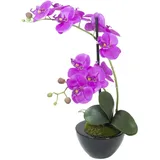 Europalms Orchideen-Arrangement 4,