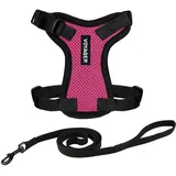 Best Pet Supplies Voyager Step-in Lock Katzengeschirr und reflektierende Katzenleine mit Neoprengriff by Best Pet Supplies - Unterstützt kleine, mittlereund große Katzenrassen, Fuchisa/Schwarzer Rand, size XXS - 1,5 m