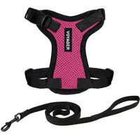 Best Pet Supplies Voyager Step-in Lock Katzengeschirr und reflektierende Katzenleine mit Neoprengriff by Best Pet Supplies - Unterstützt kleine, mittlereund große Katzenrassen, Fuchisa/Schwarzer Rand, size XXS - 1,5 m