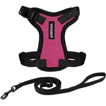 Best Pet Supplies Voyager Step-in Lock Katzengeschirr und reflektierende Katzenleine mit Neoprengriff by Best Pet Supplies - Unterstützt kleine, mittlereund große Katzenrassen, Fuchisa/Schwarzer Rand, size XXS - 1,5 m