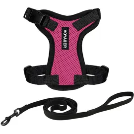 Best Pet Supplies Voyager Step-in Lock Katzengeschirr und reflektierende Katzenleine mit Neoprengriff by Best Pet Supplies - Unterstützt kleine, mittlereund große Katzenrassen, Fuchisa/Schwarzer Rand, size XXS - 1,5 m