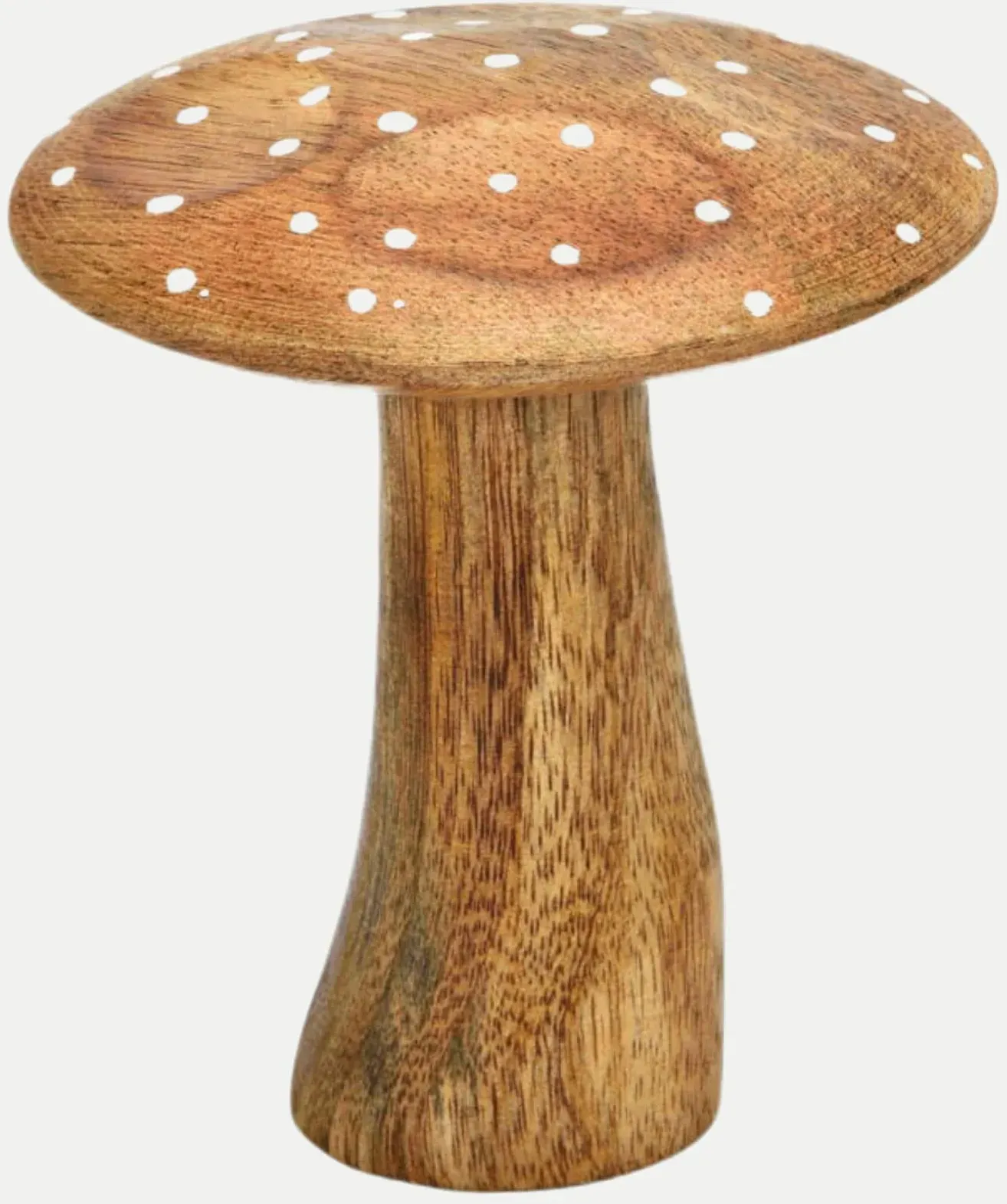 Pilz 9x10x9 Braun