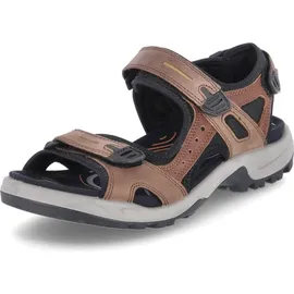 ECCO Offroad Herren espresso/cocoa 48