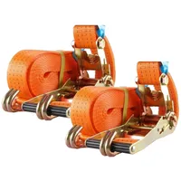 Baumarktplus 2x Profi Ratschen Spanngurt Spanngurte Zurrgurt 2-tlg 8m