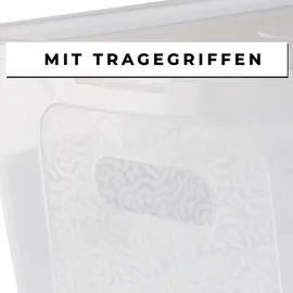 Centi 2er Set Aufbewahrungsboxen mit Deckel Plastikbox 5L transparent mit Griffen