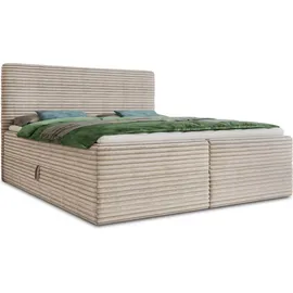 Sofnet Mollo 160 x 200 cm Beige