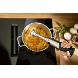 Bosch SDA Stabmixer ErgoMaster,Serie 6 MSM6M810 eds/sw