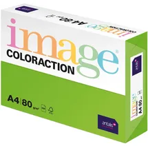 image coloraction Java - farbiges Kopierpapier - DIN A4 210 x 297 mm, 80 g/m2 - buntes, holzfreies Druckerpapier für Kopierer - 500 Blatt - Maigrün