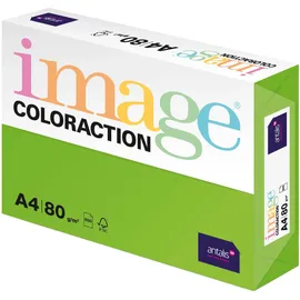 image coloraction Java - farbiges Kopierpapier - DIN A4 210 x 297 mm, 80 g/m2 - buntes, holzfreies Druckerpapier für Kopierer - 500 Blatt - Maigrün