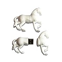 H-Customs Pferd Weiß Reiten USB Stick 32 GB USB 2.0