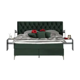 Wohnwert Laesa 200 x 122 cm Grün
