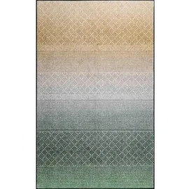 Wash+Dry Flachwebeteppich, Grau, Grün, Beige, - 115x175 cm,
