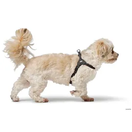 Hunter Soho Mini Hundegeschirr Schwarz XXS-XS