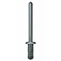 Gesipa GBulb Stahl/Stahl 6,4 x 13