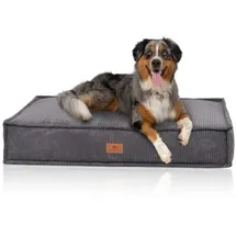 Knuffelwuff Hundekissen Lesedi 80 x 60 cm grau