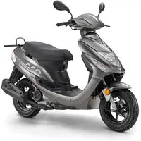 LUXXON ECO 50 3,0 PS 45 km/h Silber