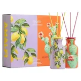 ipuro Raumduft Amalfi & Mexico 2x 50 ml