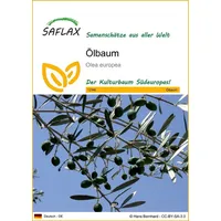 SAFLAX - Ölbaum - 20 Samen - Olea europea