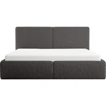 FEDVE Polsterbett Doppelbett Riberia Slim Bett mit Bettkasten 140x200 - Dunkelgrau