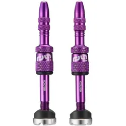 ETHIRTEEN Quick Fill Tubeless Presta Ventile 19-23mm - 2 Stück Lila Modell 2024