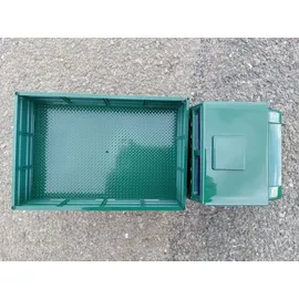 AMEWI RC-Buggy Unimog Basic 4CH RTR grün (22632)