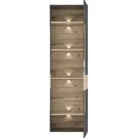 Forte Vitrine Como 60,4 x 41,3 x 203,3 cm Grau