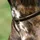 Kieffer Ultrasoft Hundehalsband Braun 50 cm