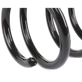 Eibach E10-35-020-01-22