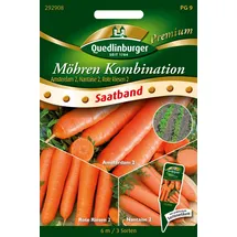Quedlinburger 292908 Möhren früh mittel spät (SB-Möhrensamen)