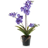 artplants.de Kunstorchidee Vanda Campo, violett, 60cm - Künstliche Orchidee/Blumendeko Orchidee