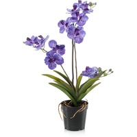 artplants.de Kunstorchidee Vanda Campo, violett, 60cm - Künstliche Orchidee/Blumendeko Orchidee