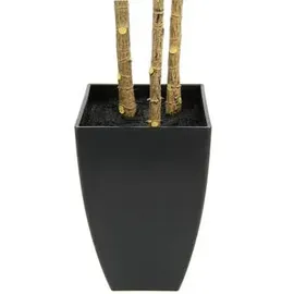 I.GE.A. Kunstbaum »Fächerpalme« Im Topf, grün