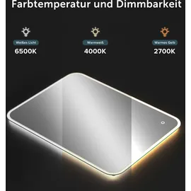mai & mai Badspiegel mit LED Beleuchtung Wandspiegel rechteckig 80x60cm