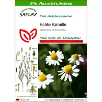 SAFLAX - Heilpflanzen - Echte Kamille - 300 Samen
