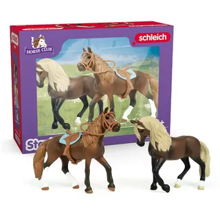 Schleich Horse Club Paso Peruano Starter-Set