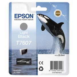 Epson T7607 hell schwarz