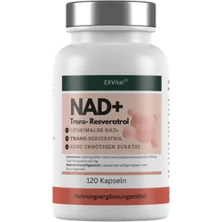 NAD+ Kapseln, hochdosiert 1000mg NAD+ & 600mg Trans-Resveratrol pro Tag, 120 ...