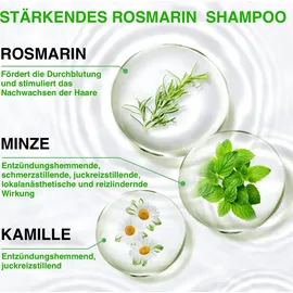 Aliver Rosmarin Pflegeshampoo 300 ml