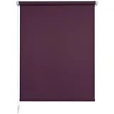 Liedeco Bella Casa Klemmfix-Rollo,ca.150x120cm, Brombeere