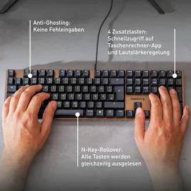 Cherry KC 200 MX MX2A Brown UK