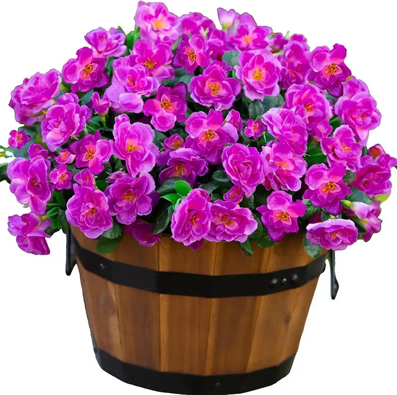 【3 € Rabatt ab 10 €】6 Stück 15,3 Zoll/38 cm künstliche Blumenpflanzen für den Außenbereich, für Frühlings- und Sommerdekoration, seidig glänzende Kamelien, sehen aus wie echte Blumen, für Blumentöpfe, Eingang, Veranda, Terrasse, Balkon (Fuchsia)