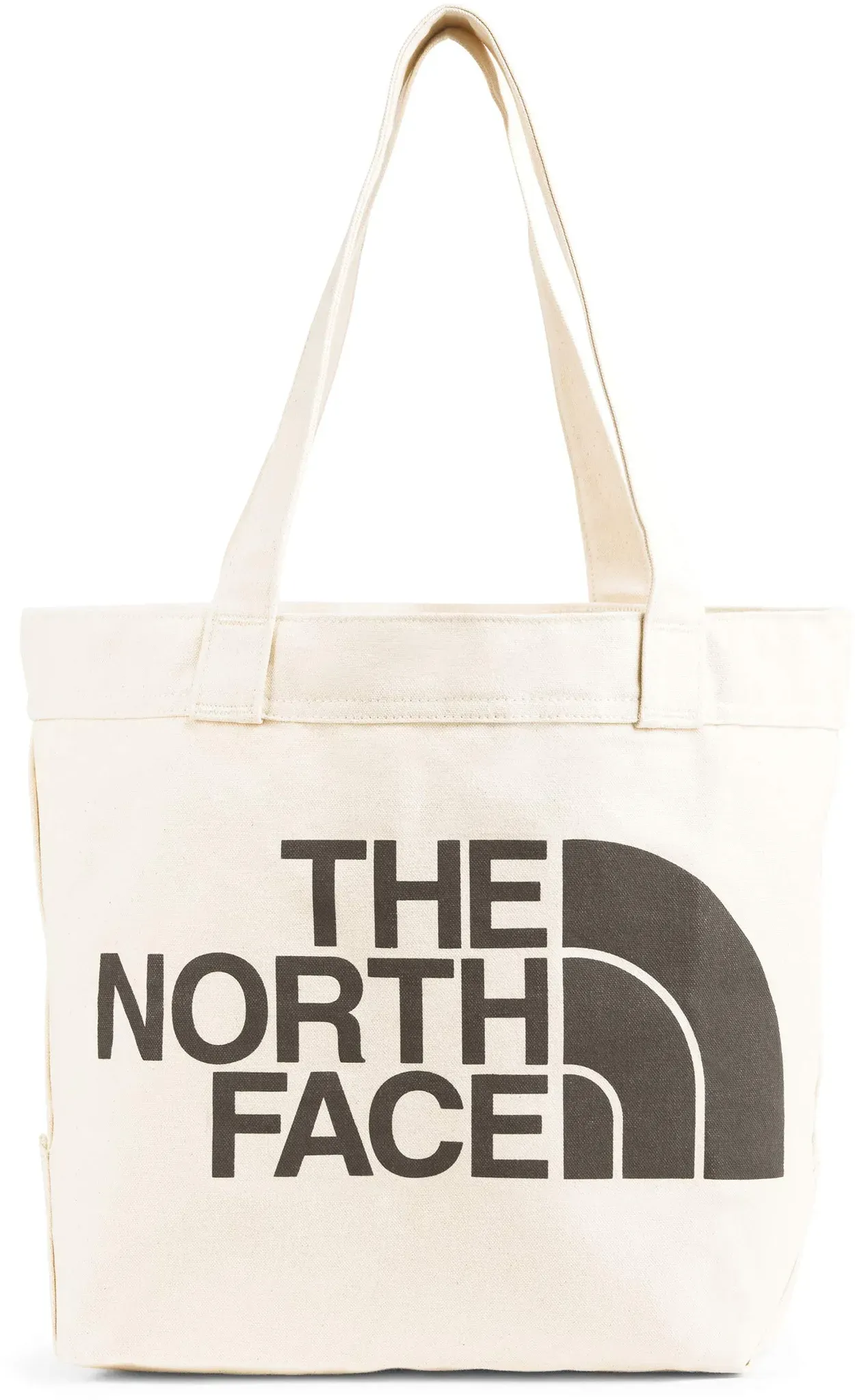daypack the north face