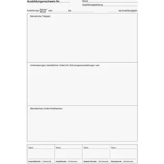 Brunnen Ausbildungsnachweis, wöchentliche/monatliche Eintragungen Formularbuch