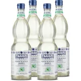 fabbri 1905 Minze 4 x 1000 ml