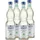 fabbri 1905 Minze 4 x 1000 ml