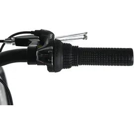 Dacapo Bobby 24 Zoll RH 32 cm gelb