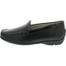 WALDLÄUFER Harriet (431000)